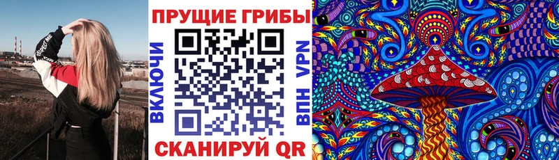 Галлюциногенные грибы Psilocybe  Ярцево 